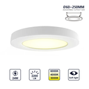 AIGOSTAR ADJUSTABLE PANEL LED 24W CCT -  Ф60-250mm/290mm Flush &amp; Surface Mount