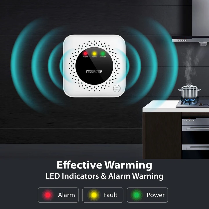HY-GA40A Natural Gas Alarm (METHANE)