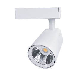 Rail d'éclairage SKY TL5020 COB 2 lignes 20 W 220-240 V 36 ° Blanc