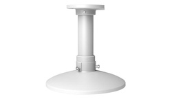 [DS-1661ZJ-6D] DS-1661ZJ-6D Pendant mount Φ 250 mm × 247 mm Panoramic Camera